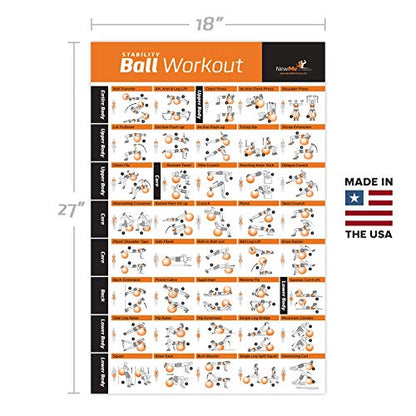 NewMe Fitness Workout Posters for Home Gym - Exercise Posters for Full Body Workout - Core, Abs, Legs, Glutes & Upper Body Training Program