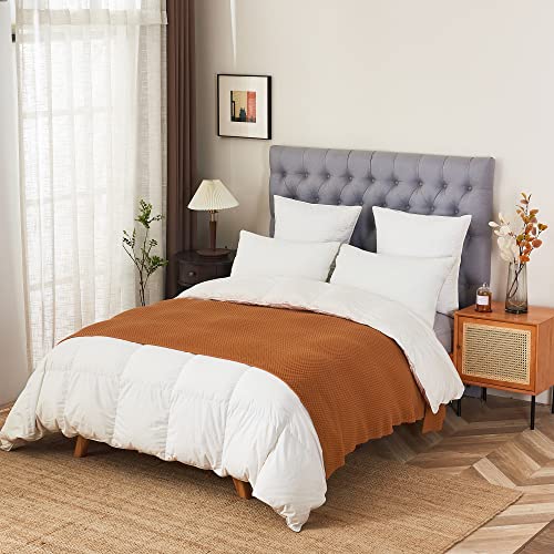Longhui bedding 100% 면 니트 담요 - 번트 오렌지, 부드럽고 아늑함, 세탁기 사용 가능, 152.4cm x 203.2cm(60 x 80인치) - 거실, 소파, 침대 또는 여행에 적합 - color: 번트 오렌지., size: 60" x 80", Oversized