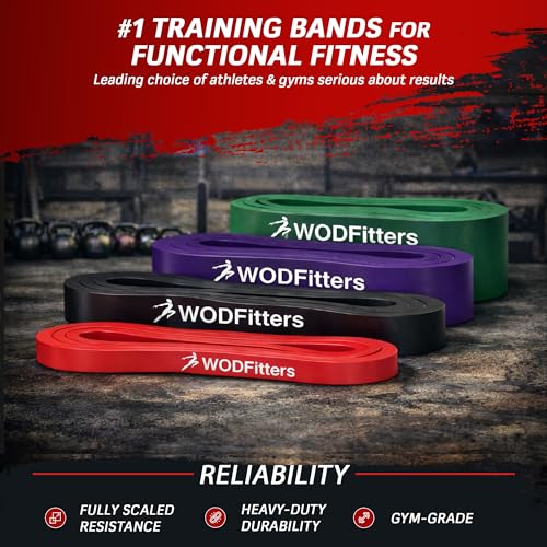 WODFitters Pro Series Pull-Up Assistance Bands – Premium Resistance Loop Bands for Assisted Pull Ups, Muscle Ups, Strength Training & Mobility – Durable Bands for Functional Fitness - color: 4 Band Set