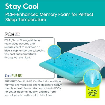 BLISSBURY Cooling Stomach Sleeper Pillow, Thin Memory Foam, 2.6 Inch - color: Cooling (White), size: 2.6"H (Queen)