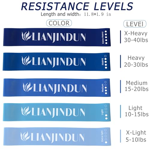 Lianjindun Loop Resistance Exercise Bands Set for Home Gym, Set of 5 - color: Gradient Blue Set