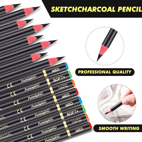 Resurhang 100 Pcs Charcoal Pencils Drawing Set, Charcoal Pencils bulk for Drawing Sketching Shading Blending Portrait Beginners and Artists(Black,Super Soft, Soft, Medium and Hard) - color: Black, style: Super Soft, Soft, Medium and Hard