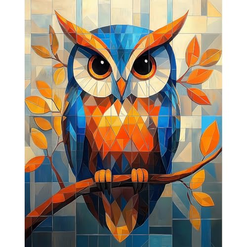 Natuyalo Paint by Numbers Kit for Adults Colorful Owl Paint by Number Kit on Canvas Animal Acrylic Painting Kit for Home Decor Gifts for Friend Birthday Christmas (16x20 Inch) - color: PIC-08