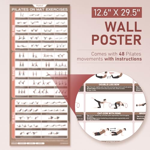 PhysKcal Pilates Kit, 15-Inch Pilates Ring with 1x Pilates Ball & 5X Bands | Aesthetic Home Pilates Equipment Set, Essential Kit for Beginners in Minimalist Style. Comes in Premium Packaging - color: Plum