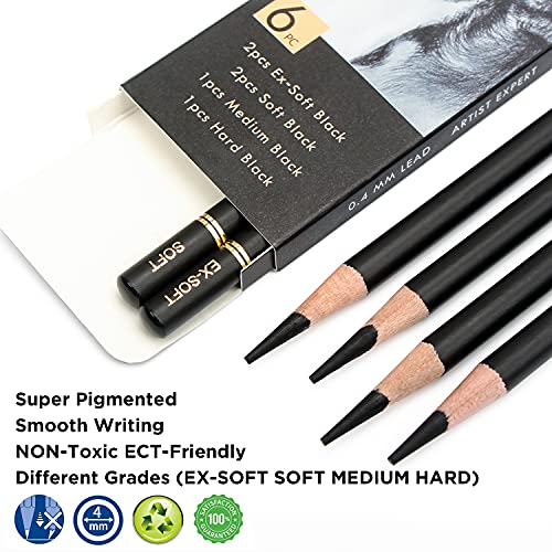 Brusarth Black & White Charcoal Pencils Set - Charcoal Pencils Set for Drawing, Sketching, Shading, Blending, Artist Pencils for Artists, Professionals or Beginners
