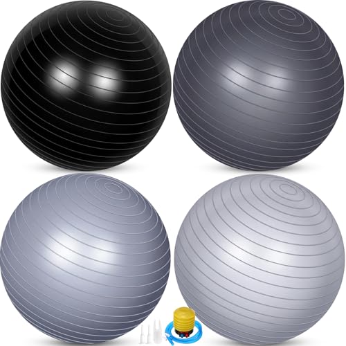 Leyndo 4 Pcs 26 Inch Yoga Exercise Ball Pilates - color: Gray Black Set