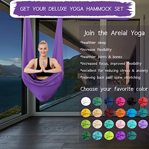 5.5 Yards Aerial Silks Yoga Swing Set - Aerial Yoga Hammock Kit Anti-Gravity Flying for Fitness, Low/Non Stretch Nylon Tricot Fabric Hardware Included for Dance - color: VIOLET