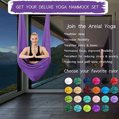 5.5 Yards Aerial Silks Yoga Swing Set - Aerial Yoga Hammock Kit Anti-Gravity Flying for Fitness, Low/Non Stretch Nylon Tricot Fabric Hardware Included for Dance - color: VIOLET