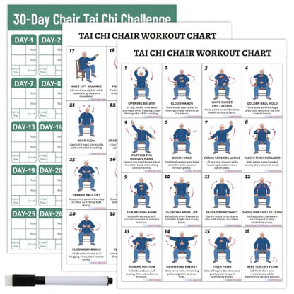 YGEINIT Tai Chi Chair Workout Chart for Beginners & Seniors