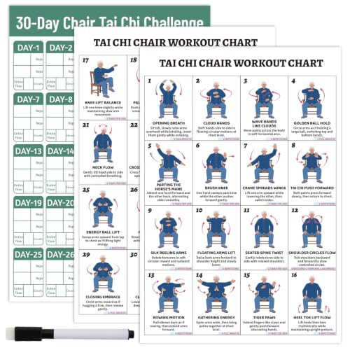 YGEINIT Tai Chi Chair Workout Chart for Beginners & Seniors