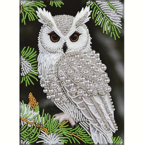 Owl Diamond Art Painting Kits for Adults,Animals Birds Pearl Painting Kits | 5D Diamond Art Kits for Adults Beginner,DIY Pearl Diamond Dots Gem Art Craft Kits for Home Wall Decor 12 x 16 inch - color: HL6670