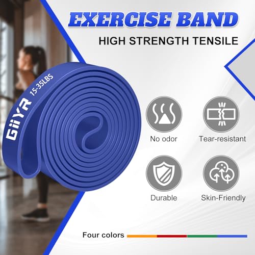 Resistance Bands Set for Men & Women - 4 Levels Exercise Band with Door Anchor, Pull Up Bands for Strength Training, Stretching, Powerlifting, Home Workouts