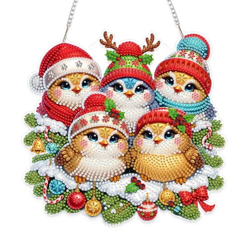Eiflow Acrylic Diamond Art Hanging Kit for Adults, DIY Diamonds Painting Door Hanger Board Kit, Special Crystal Diamond Art Painting Pendant Ornament (Christmas Bird) - color: Christmas Bird