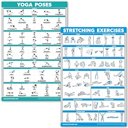 Palace Learning QUICKFIT Yoga Poses and Stretching Exercise Poster Set - Laminated 2 Chart Set - Yoga Positions & Stretching Workouts (18" x 24") - color: LAMINATED