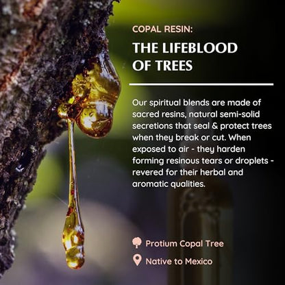 Copal Natural Resin Air Freshener Spray, 100ml, Aromafume - color: Copal