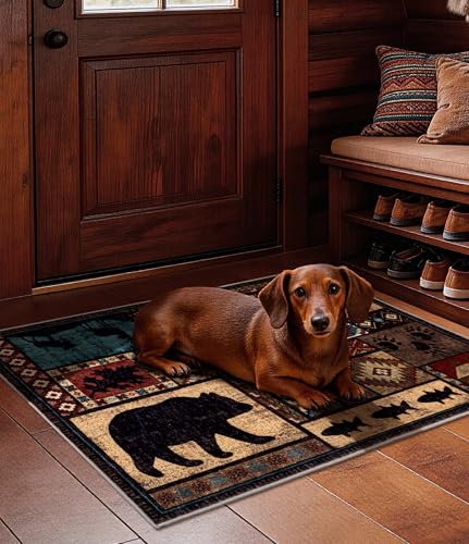 YIHOUSE Washable Rustic Cabin Area Rug 2 x 3 Entryway - color: Brown, size: 2'x3'(Rectangular)