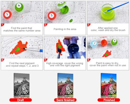 TUMOVO Paint by Numbers Kit for Adults Tulips Dutch | landscape tulips dutch 16x20 inch unframed canvas, easy to follow, pre-numbered, acrylic paints included. - color: Windmills