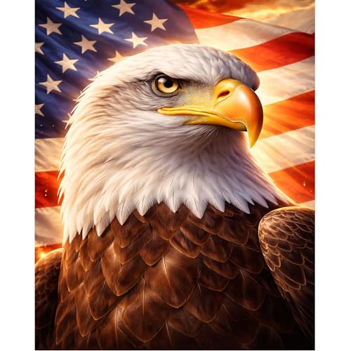 Patriotic Bald Eagle Diamond Art Kit for Adults, 5D Round Drill 12x16 Inch | American Flag Diamond Painting US Diamond Art for Beginners Gem Art Wall Decor 4th of July Craft Gift - color: HS038-1