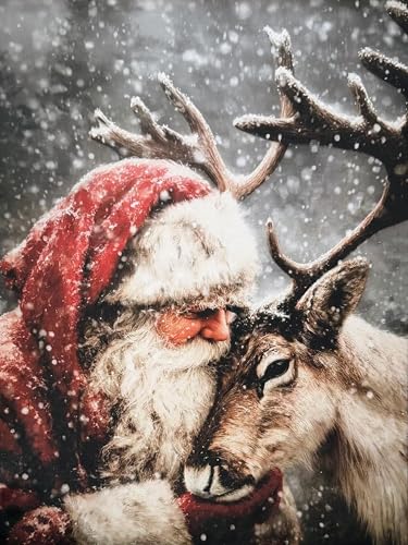 Christmas Diamond Art Kits for Adults Santa Claus Deer Diamond Painting Kit | Christmas Diamond Art Painting Kits for Adults Beginners 5D Full Round Drill Gem Art Kit for Home Decor Gift 11.8x15.7 Inch - color: Christmas, size: 11.8x15.7in(30x40cm)