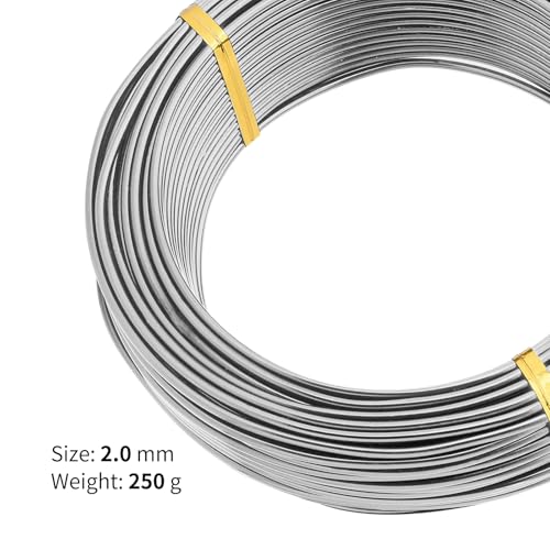 Bonsai Training Aluminum Wire, 2.0mm 12 Gauge Silvery 200g, Bendable Anodized Craft Wire, Flexible Armature Wire for Bonsai Tree Shaping, DIY Handcraft and Model Making(Silvery-2.0) - color: Silver, size: 12 Gauge