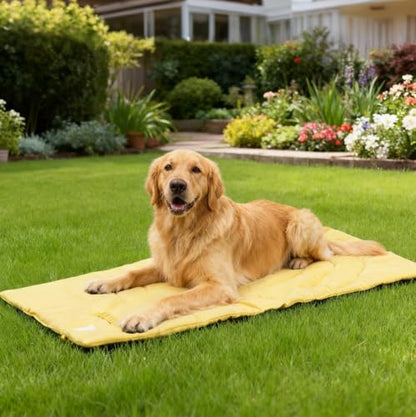 Lightly Padded Roll-Up Travel Dog Mat Settle & Place Training - color: Blue, size: Medium(37.4"x25.6")