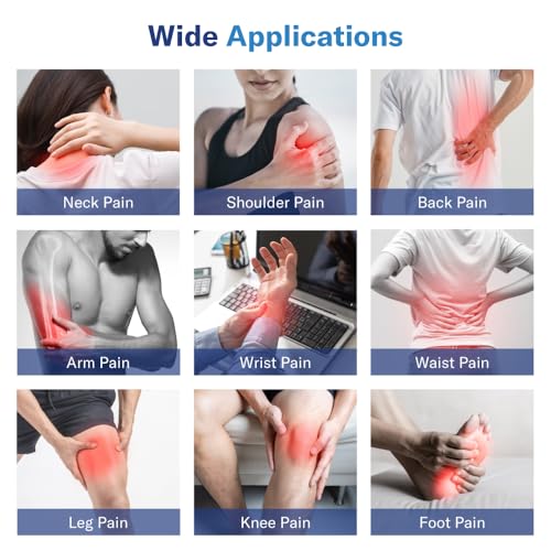 Alcedo Rechargable TENS+EMS Muscle Stimulator for Pain Relief