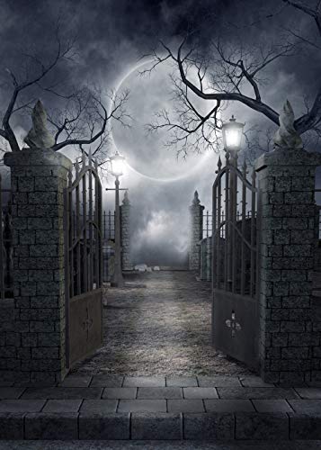 10X12FT Halloween Theme Pictorial Cloth Seamless Customized Photography Backdrop Background Studio Prop TP17F - size: 10'x12'