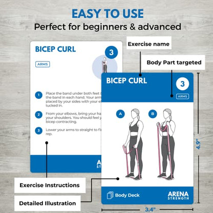 Arena Strength Workout Cards - Instructional Fitness Deck for Booty Band Workouts, Beginner Fitness Guide for Resistance Band Training Exercises at Home. Includes Workout Routines. - style: Total Body