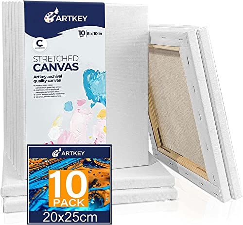 Canvases for Painting 8 x 10 Inch 10 - Pack, 5/8" Profile Stretched Canvas - 10 oz Primed, 100% Cotton White Blank Canvas - Art Paint Canvases for Acrylic Oil Paint - size: 8"x10"(10-Pack), style: Studio