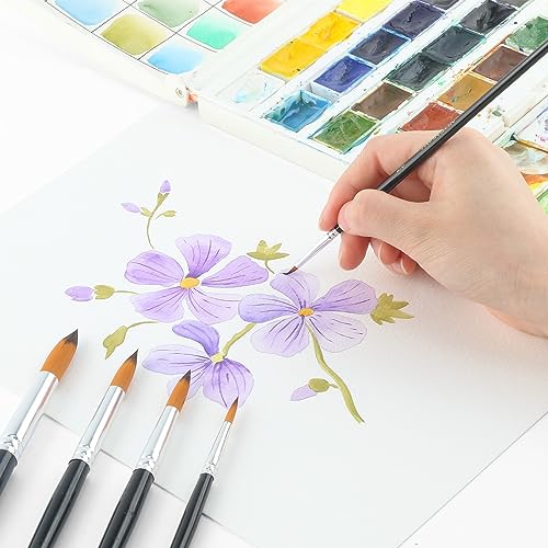 Transon 11pcs Round Paint Brush Basic Set for Watercolor, Acrylic, Gouache, Ink, and Tempera Painting - size: Round 11 PCS