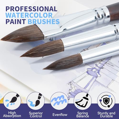 Transon 11pcs Sable Watercolor Brushes Professional Brush Set for Watercolor Painting Gouache Painting - color: Brown