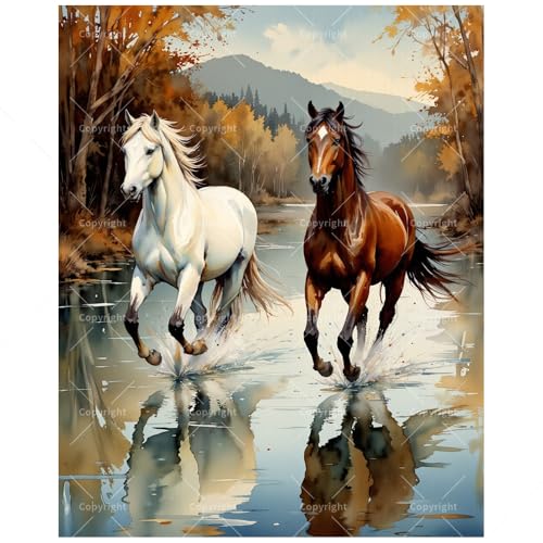 Running Horses in Autumn Stream Paint by Numbers Kit for Adults – DIY White and Brown Horses Painting on Canvas 12x16In, Framed Acrylic Paint Set for Beginners, Animal Art for Decoration/Gifts - color: FM05975, size: 12×16in Framed