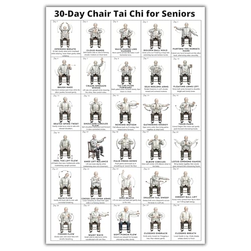 Tai Chi Chair Workout Chart Poster Seated Exercise Guide for Seniors & Beginners Canvas Wall Art Fitness Decor Sitting Tai Chi Routine for Home Gym Bedroom & Living Room Easy-to-Follow Mindful Movement Instructional Print (A, 16"L x 12"W) - color: A, size