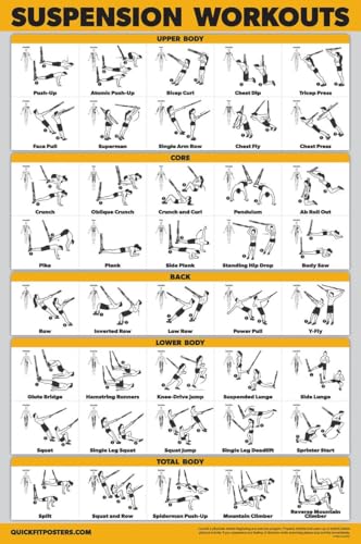 Palace Learning QUICKFIT Suspension Workout Exercise Poster - (Laminated, 18" x 24"), Hallway