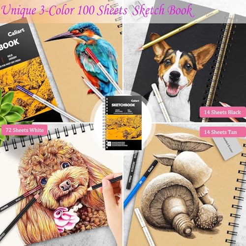 Caliart 176PCS Art Supplies Sketching Kit 100 Colors Watercolor Paint Set