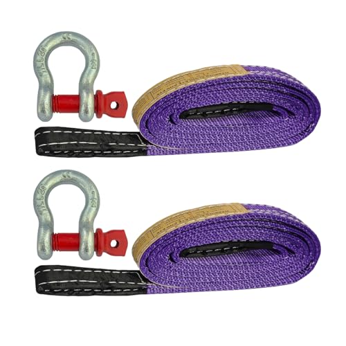HENBOW Web Sling with D Ring Shackle,8FT× 1In Heavy Duty Flat Lift Sling 2200 lbs Safety Load，Lift Sling Straps for Hoist Car Tree Saver Winch Recovery - size: 1 Inch × 8 FT