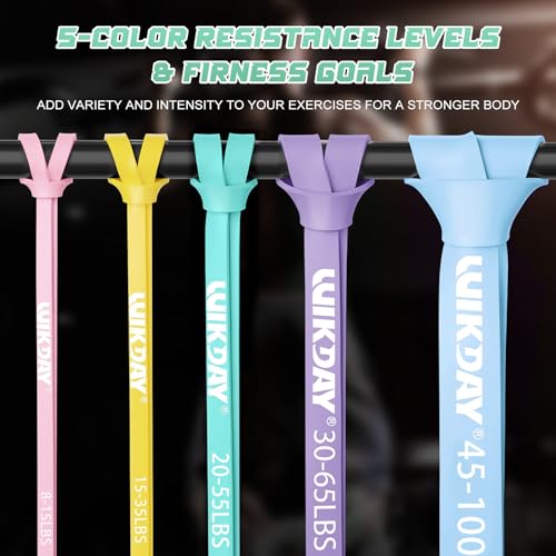 WIKDAY Resistance Bands for Working Out with Door Anchor | Pull Up Assistance, Exercise Elastic Bands, Thick Heavy Resistance, Body Stretching Muscle Training, Home Gym - color: Macaron