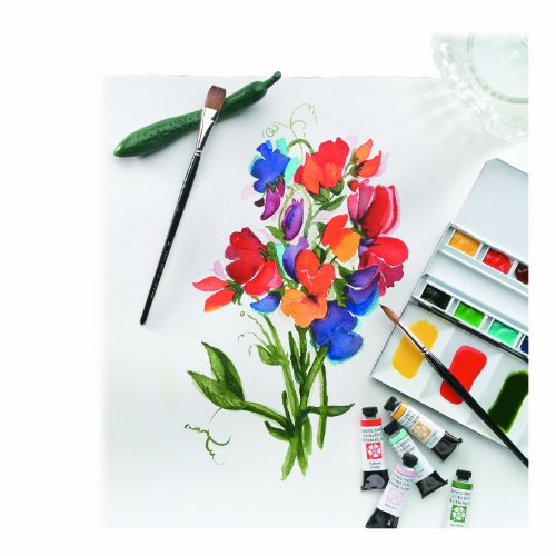 DANIEL SMITH Extra Fine Watercolor Stick 12ml Paint Tube, Hansa Yellow Medium (Model: 284670006) - color: Hansa Yellow Medium