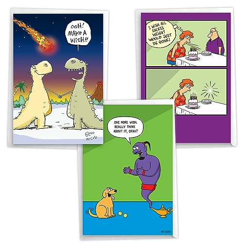 NobleWorks Assortment Pack of 3 Funny Birthday Greeting Cards with Envelopes (3 Designs, 1 Each) Best Wishes VC10018BDG-C1x3 - style: Best Wishes