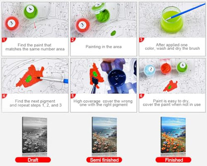 TUMOVO Sea Landscape Paint by Numbers Adult Canvas Kit Poppies Ocean | flowers sea view art on 16x20 inch unframed canvas with paints and brushes, proudly display your creation as wall decor. - color: Landscape