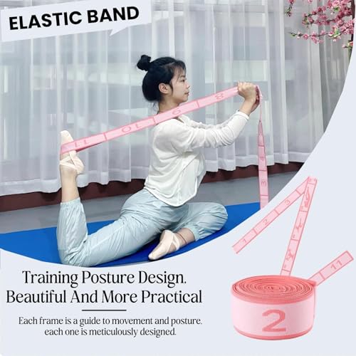 Multi-Loop Stretch Band - Yoga, Pilates, Ballet, and Physical Therapy Stretching Strap for Flexibility, Leg Stretching, and Exercise - Durable Stretching Equipment - color: Pink - 11 Loops