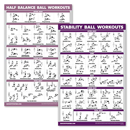 Palace Learning 2 Pack: Half Balance Ball Workout Poster + Yoga Ball Exercise Chart - Set of 2 Workout Posters