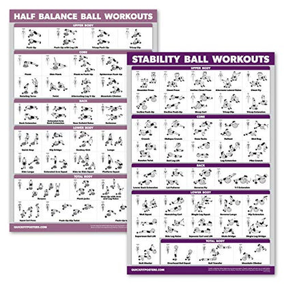 Palace Learning 2 Pack: Half Balance Ball Workout Poster + Yoga Ball Exercise Chart - Set of 2 Workout Posters