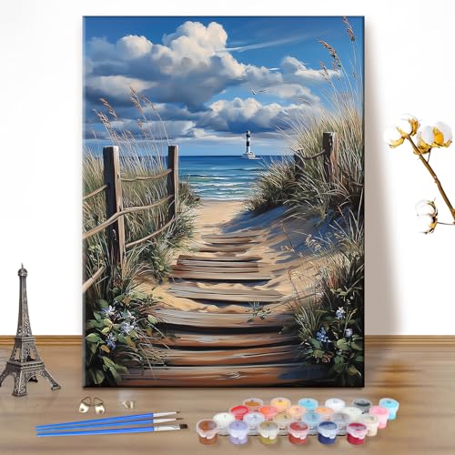EOBROMD Paint by Numbers Kits for Adults Seaside, DIY Kits Crafts for Beginner, Painting Adults, Oil Paint by Numbers for Home Decor Gift 16x20inch(Without Frame) - color: 10-Seaside