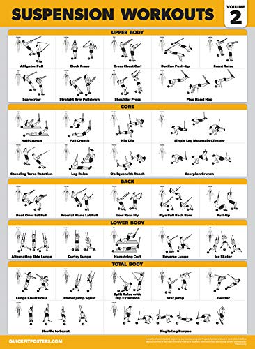 Palace Learning 4 Pack - Suspension Workout Posters Volume 1, 2 & 3 + Bodyweight Exercise Chart - Set of 4 Posters (LAMINATED, 18" x 24") - color: LAMINATED
