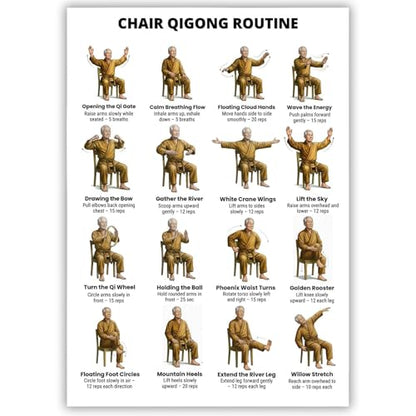 Chair Qigong Routine Poster for Seniors, Unframed Exercise Chart, 12x16