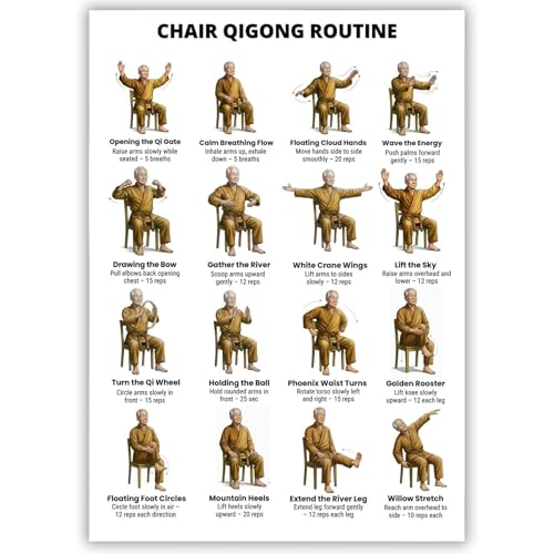 Chair Qigong Routine Poster for Seniors, Unframed Exercise Chart, 12x16
