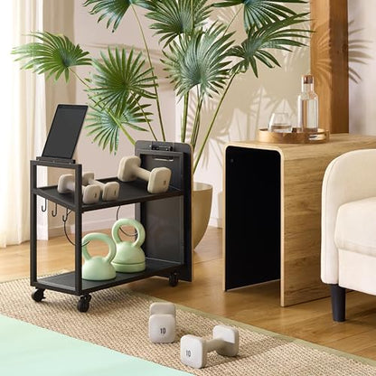 SEI Furniture - Sidekick Sport Equipment Rolling Rack - Transitional Design, Metal and Wood - Ideal for Bedroom, Living Room (HZ0123) - color: Oak
