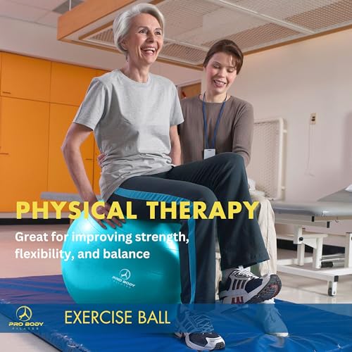 ProBody Pilates Yoga Ball - Vibrant Colors Exercise Ball - color: Sky, size: L: 23-26" (65 cm)