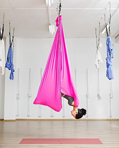 F.Life Aerial Silk Yoga Hammock & Swing for yoga Inversion,Strength training,starter hardware kit - color: hot pink